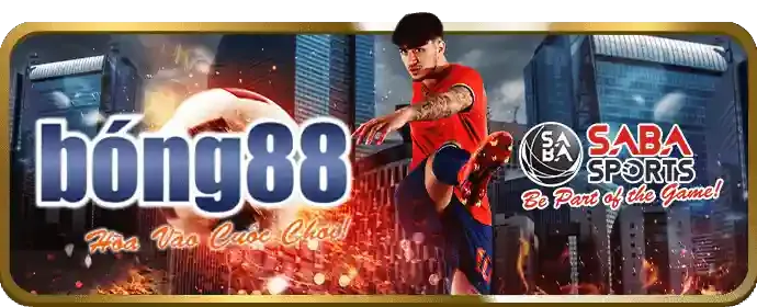 Quản lý tài khoản